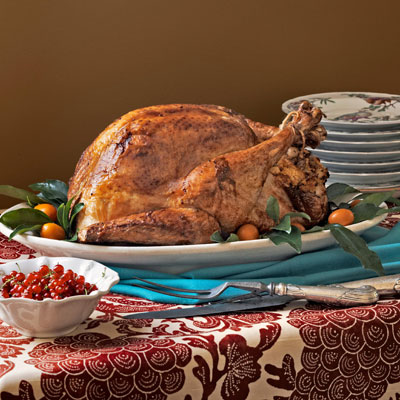 Pictures Of A Talking Turkey Thanksgiving Pictures Of A Talking Turkey Thanksgiving